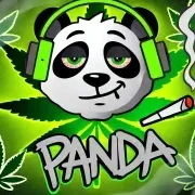 panda2115