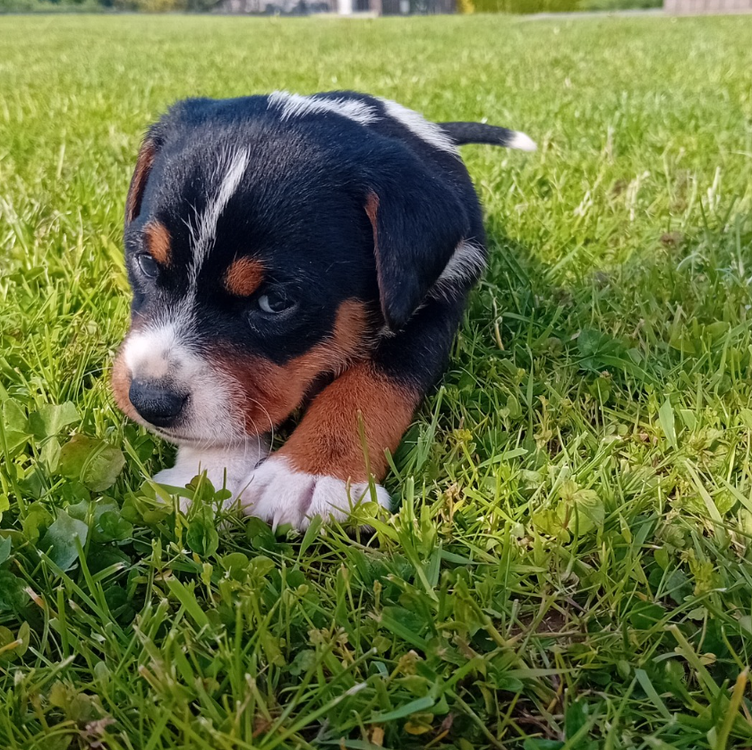 Zrzut ekranu (14722).png